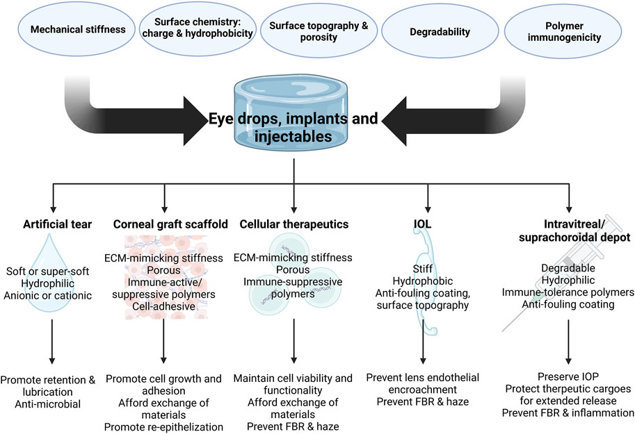 Ocular Immunology and Inflammation: Vol 31, No 6