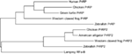 www.frontiersin.org