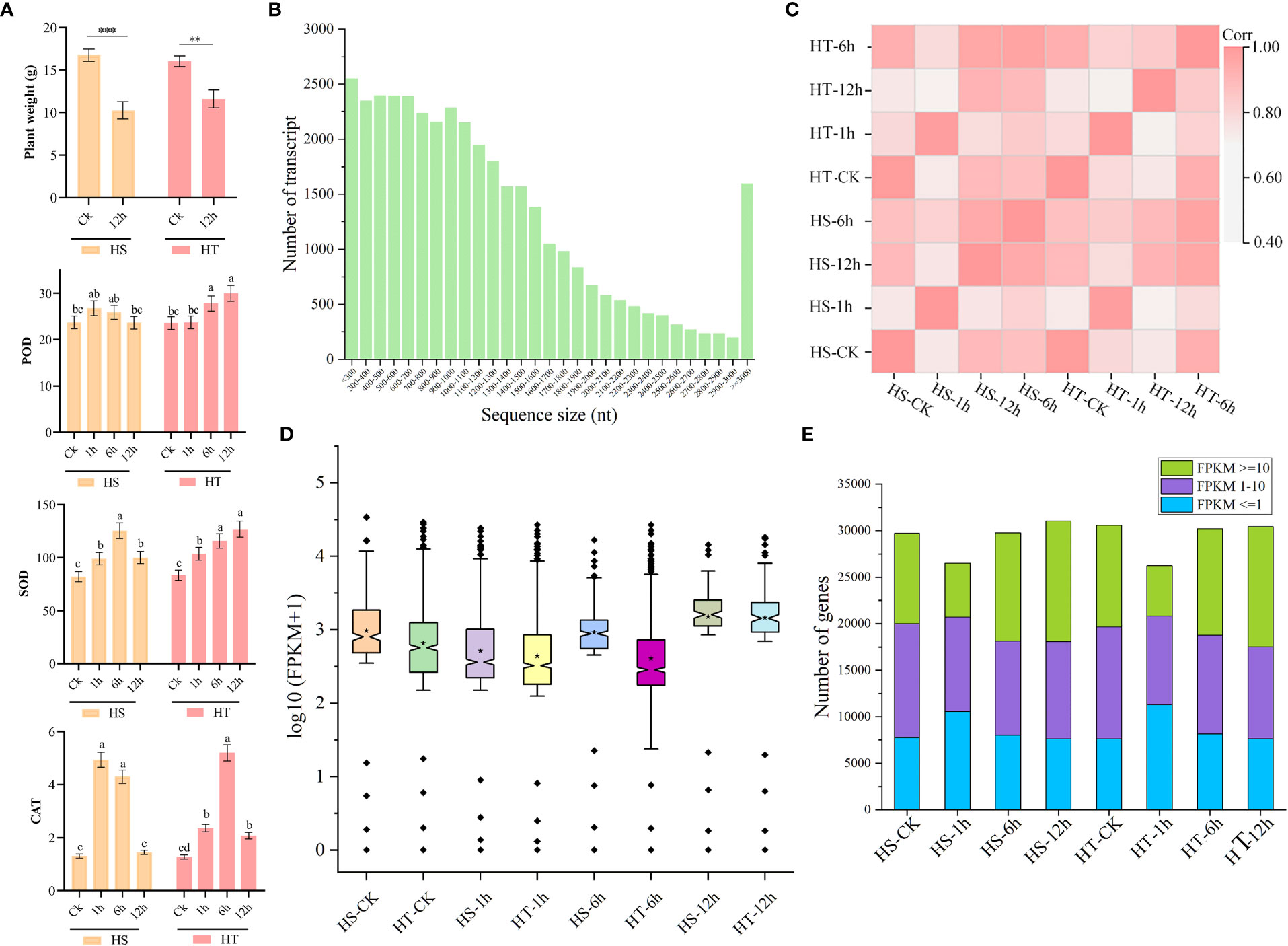 Genome-wide transcriptome analysis reveals molecular pathways involved in  leafy head formation of Chinese cabbage (Brassica rapa)