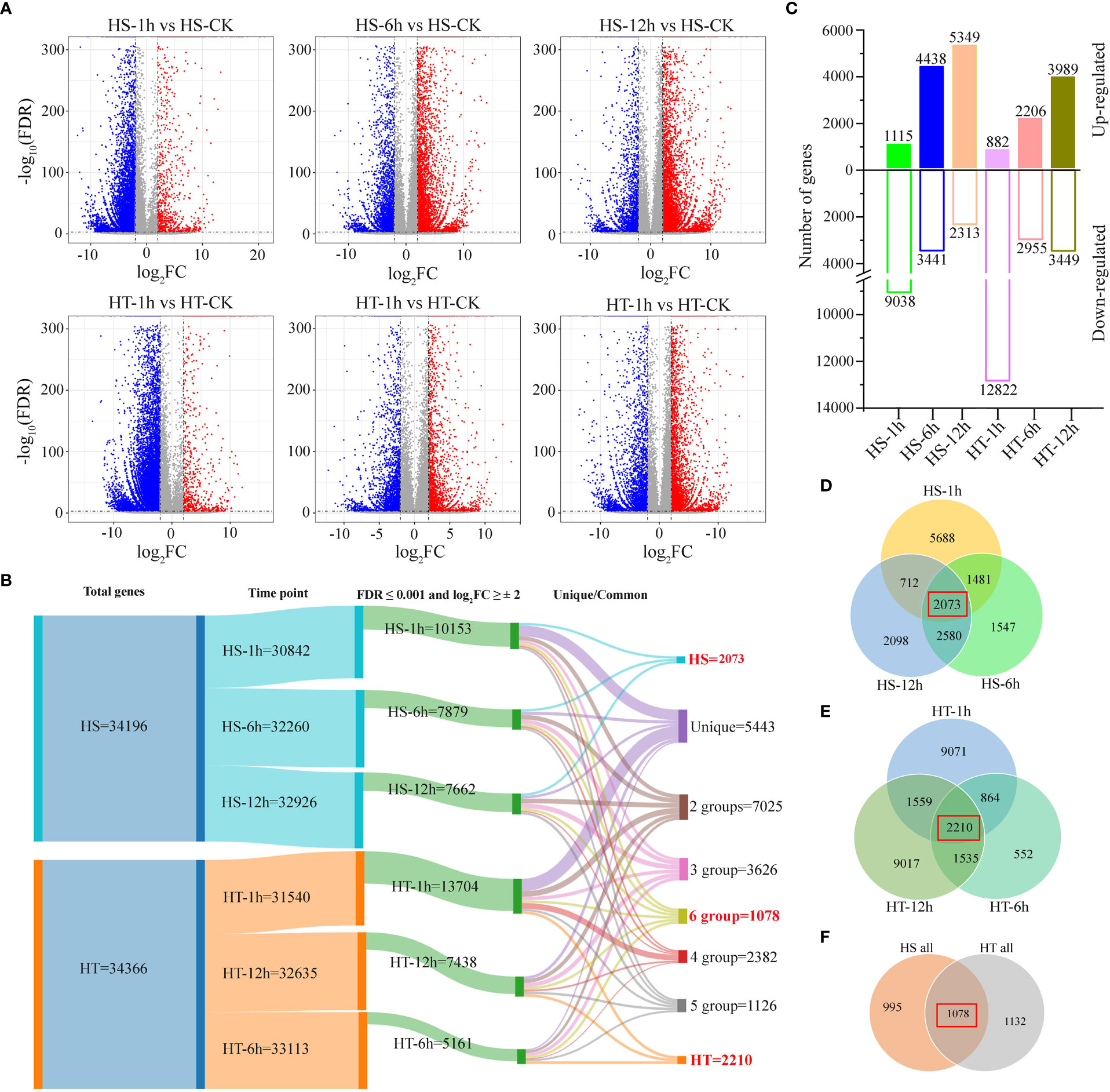 Genome-wide transcriptome analysis reveals molecular pathways involved in  leafy head formation of Chinese cabbage (Brassica rapa)