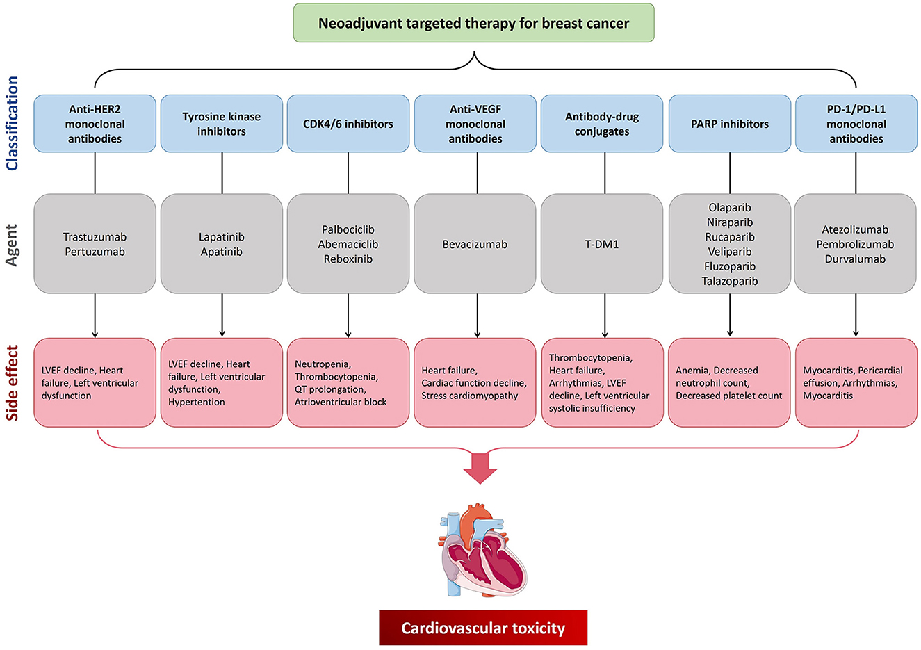 Side effects and adverse events in premenopausal breast cancer