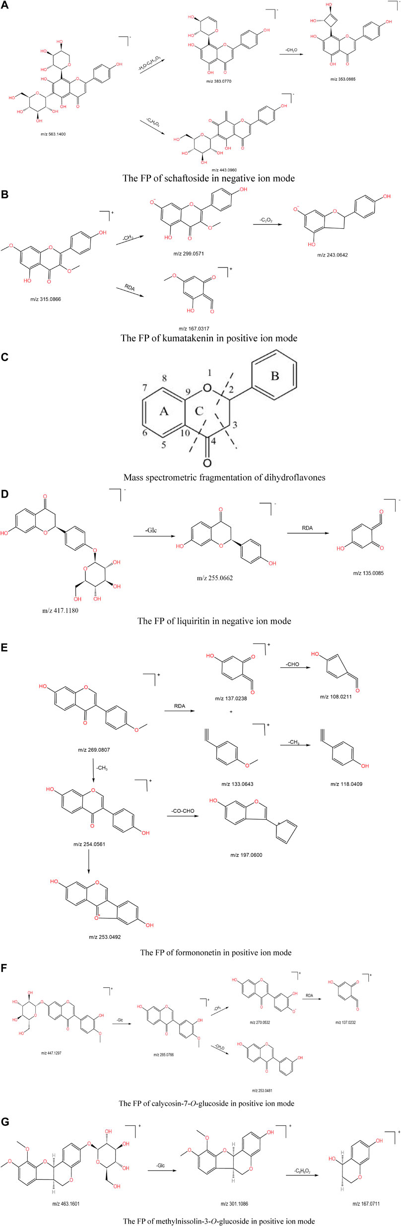 research paper on chemical constituents www.frontiersin.org