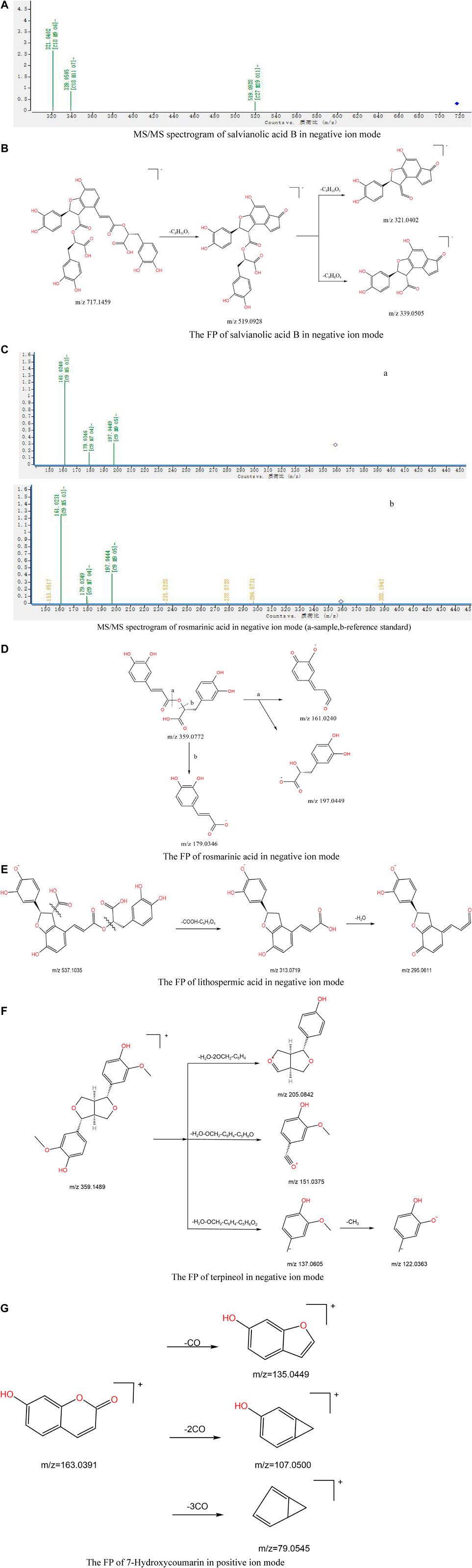 research paper on chemical constituents www.frontiersin.org
