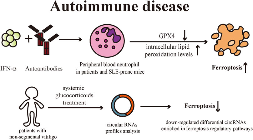 Membrane Oxidation in Cell Delivery and Cell Killing Applications