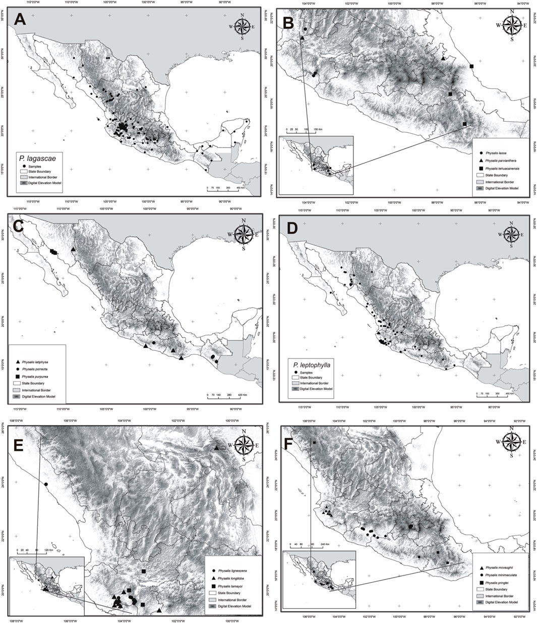 Frontiers  Taxonomic revision of Physalis in Mexico