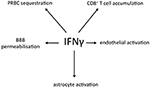 www.frontiersin.org