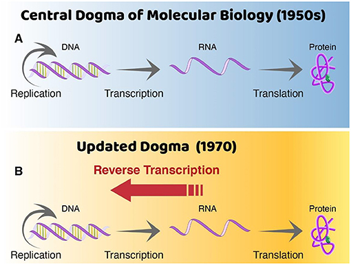 Figure 2 - A change in dogma.