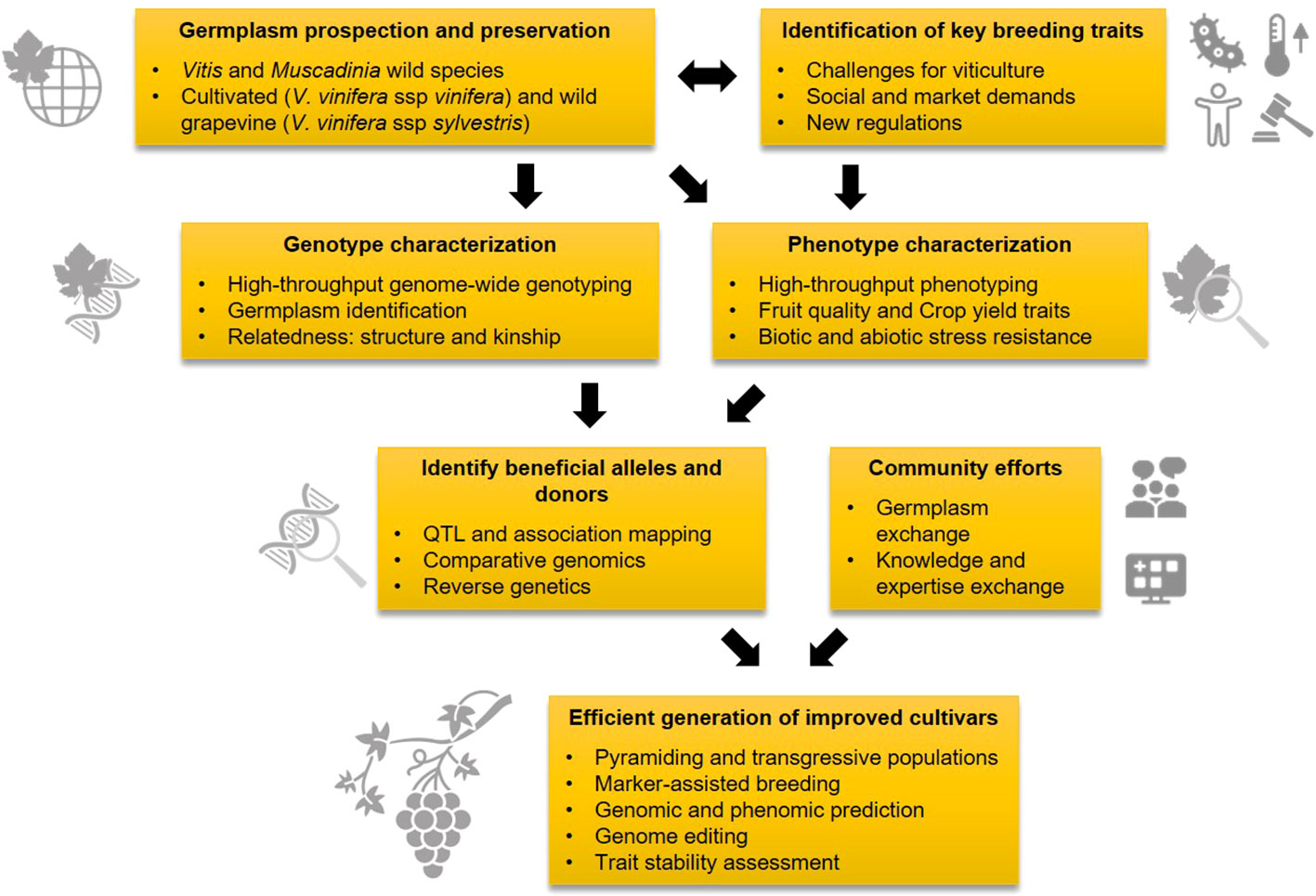 Frontiers  Characterization of fungal pathogens and germplasm