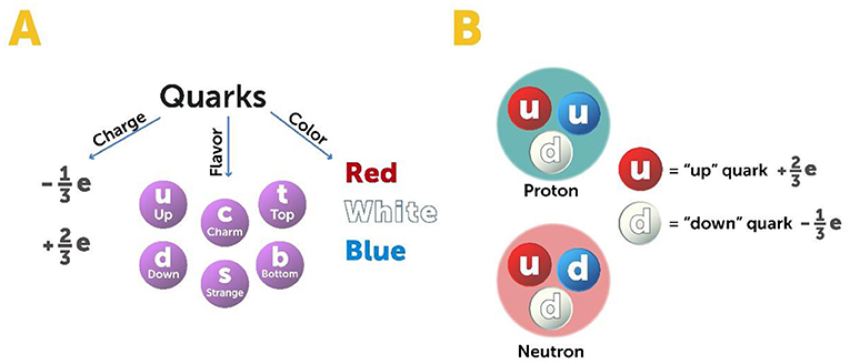 Figure 4 - Quarks.