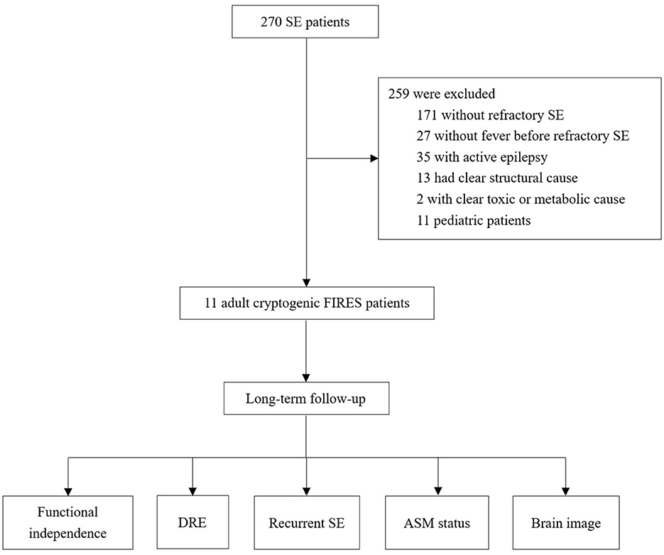 Frontiers | Long-term outcomes of adult cryptogenic febrile  infection–related epilepsy syndrome (FIRES)
