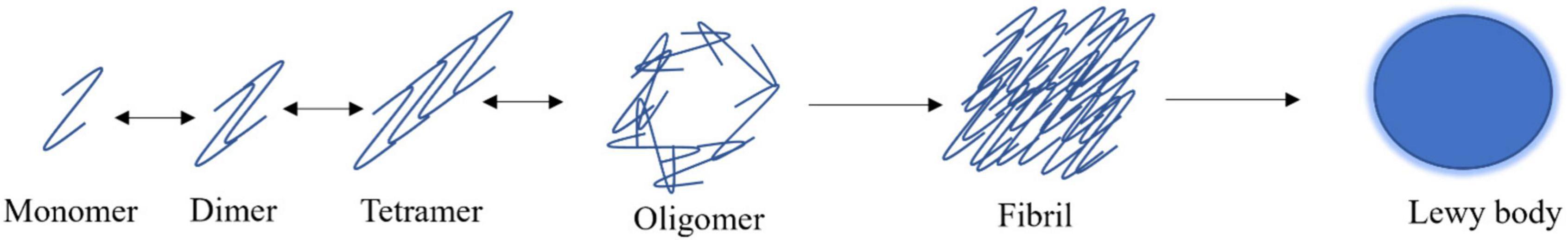 www.frontiersin.org