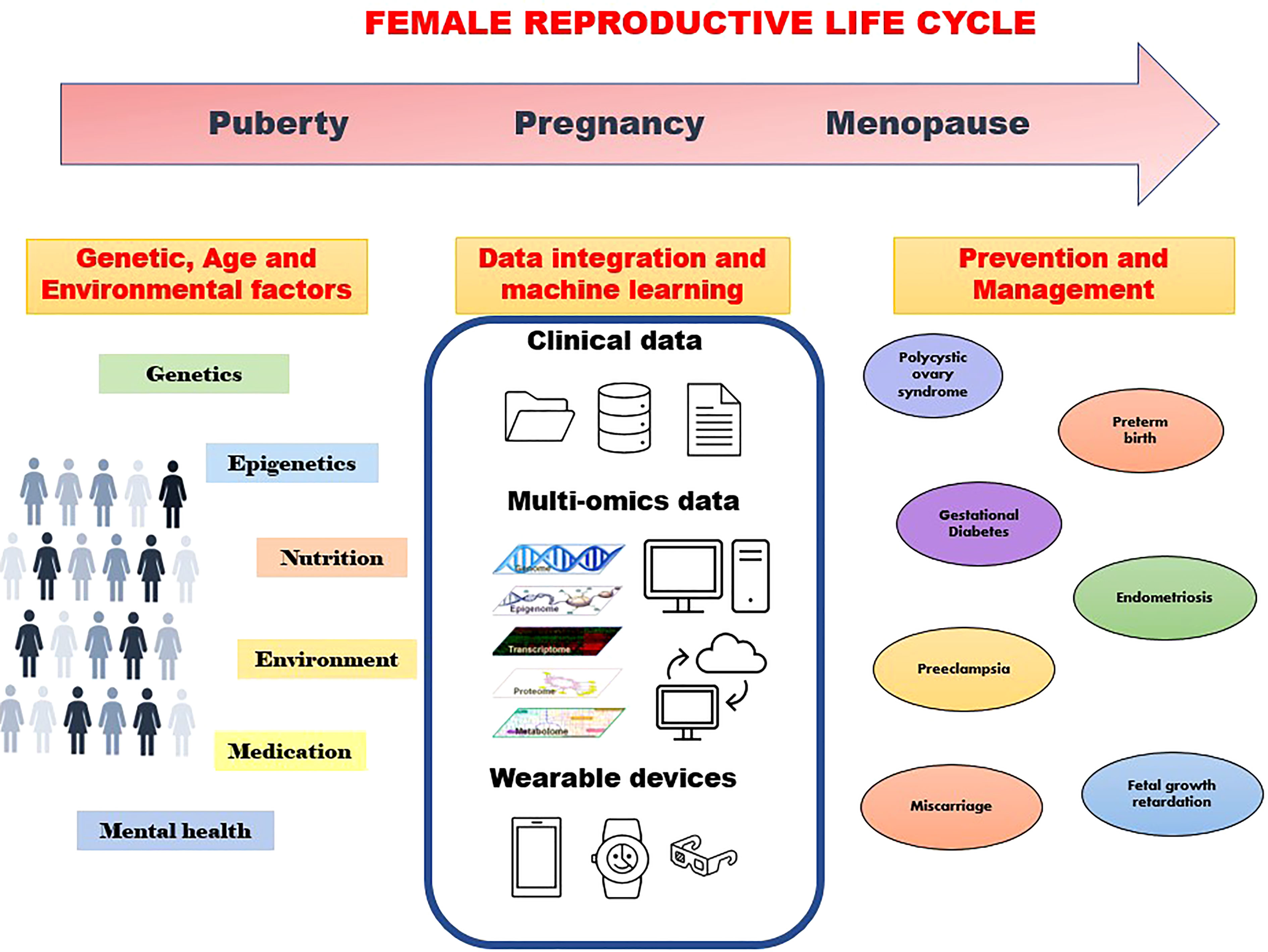 Frontiers  Multi-omics and machine learning for the prevention and  management of female reproductive health