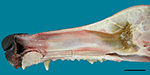 www.frontiersin.org