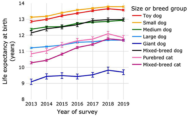 17 Ball Python Feeding Chart BairdBraegyn