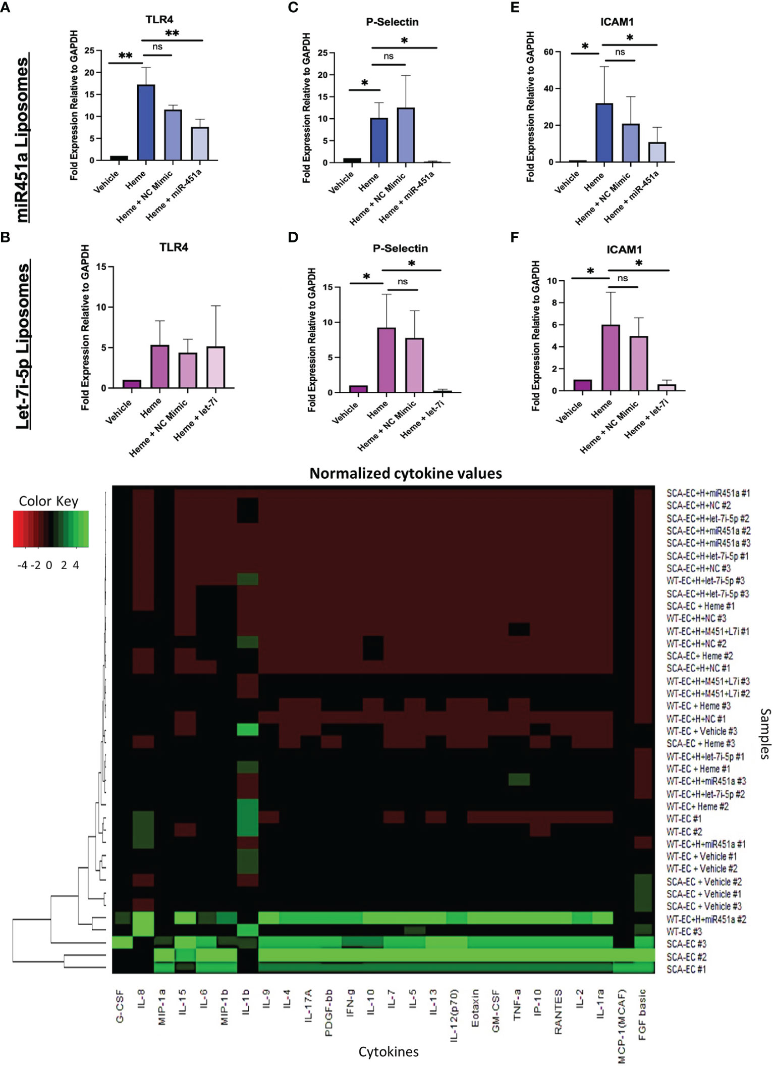 Frontiers  Deletion of MicroRNA-144/451 Cluster Aggravated Brain Injury in  Intracerebral Hemorrhage Mice by Targeting 14-3-3ζ