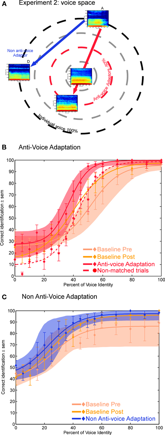 matrix the voice coder matrix the voice coder