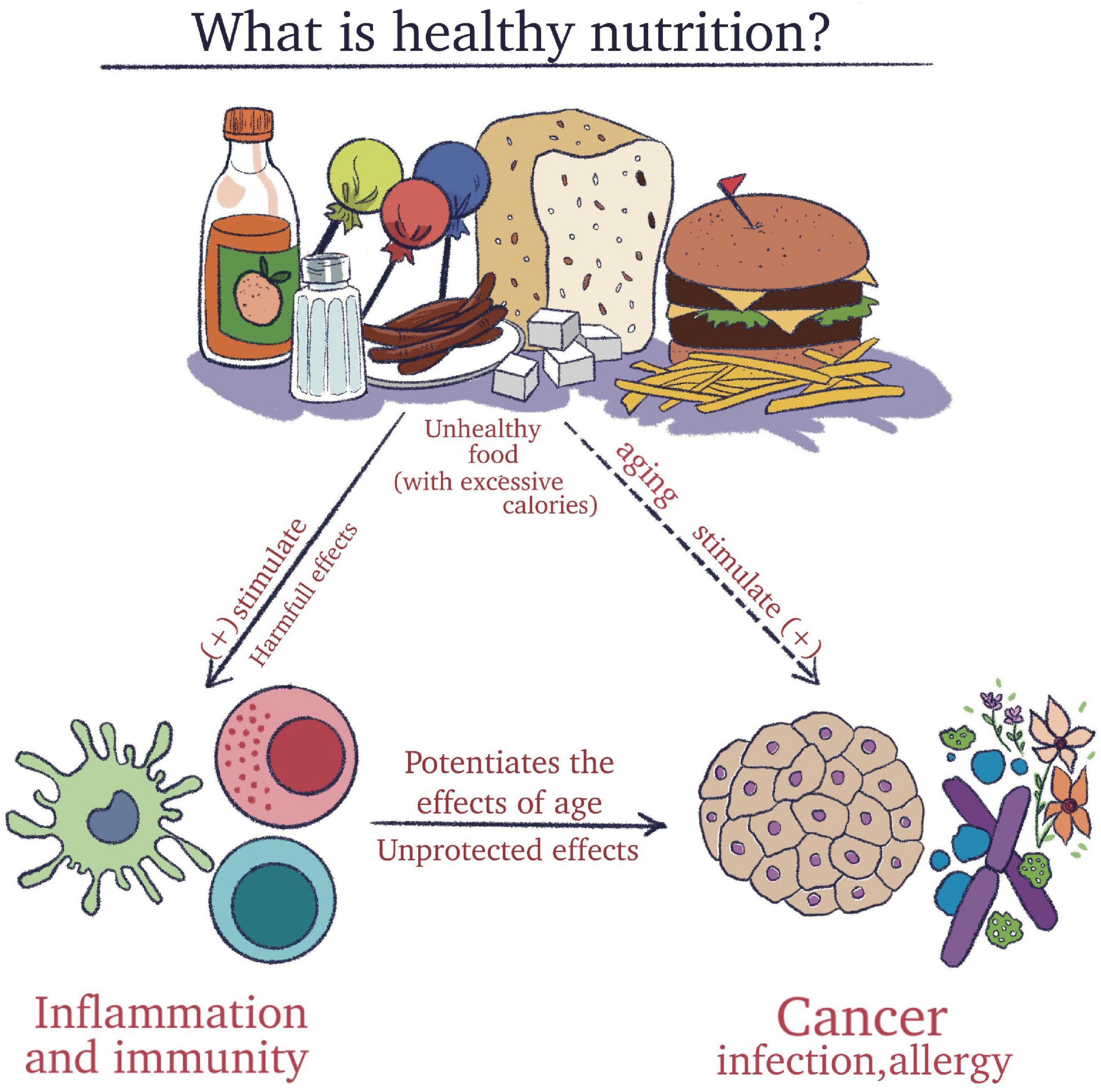 Immune system fortification