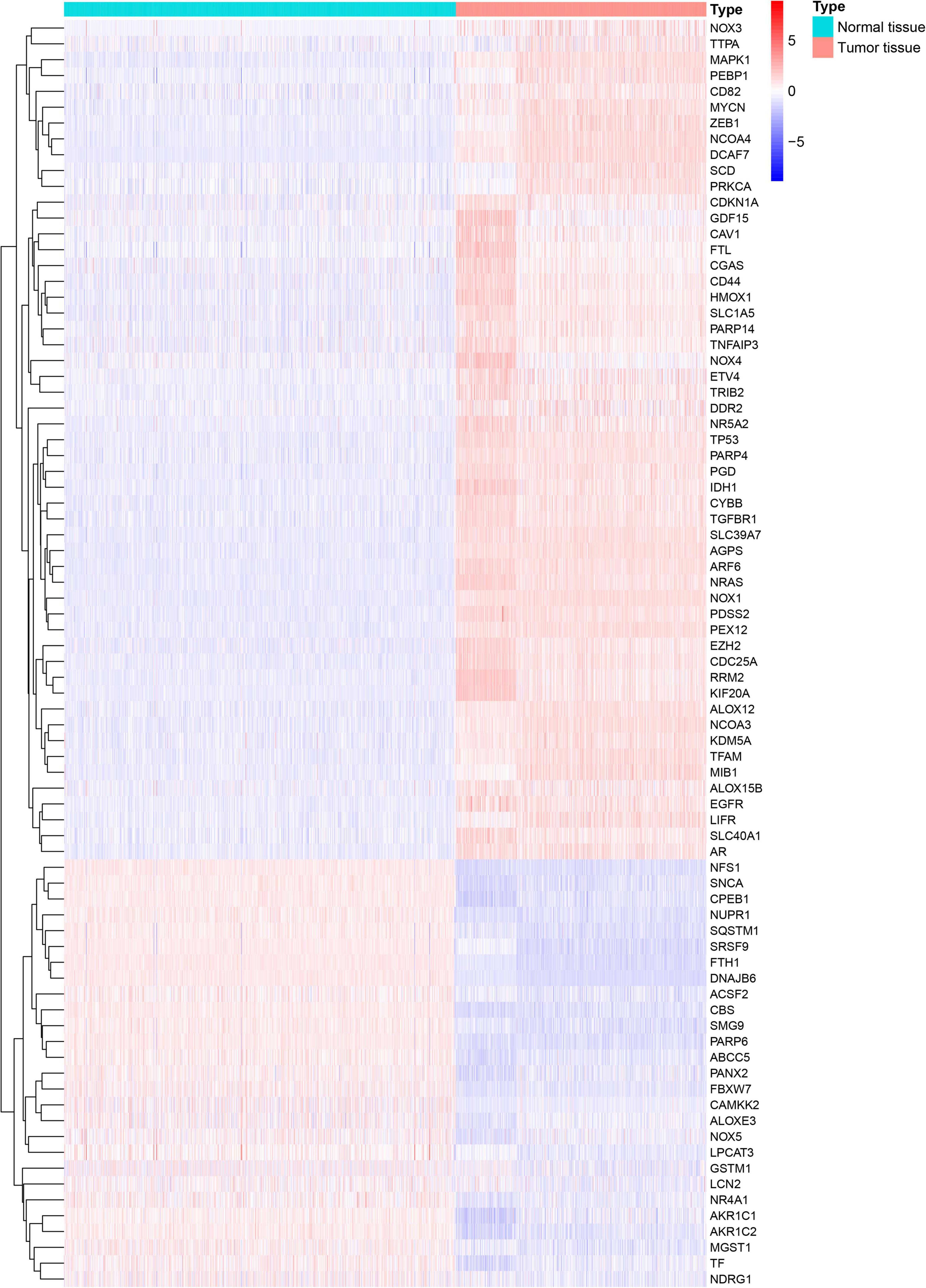 Frontiers  Multiparametric magnetic resonance imaging-derived