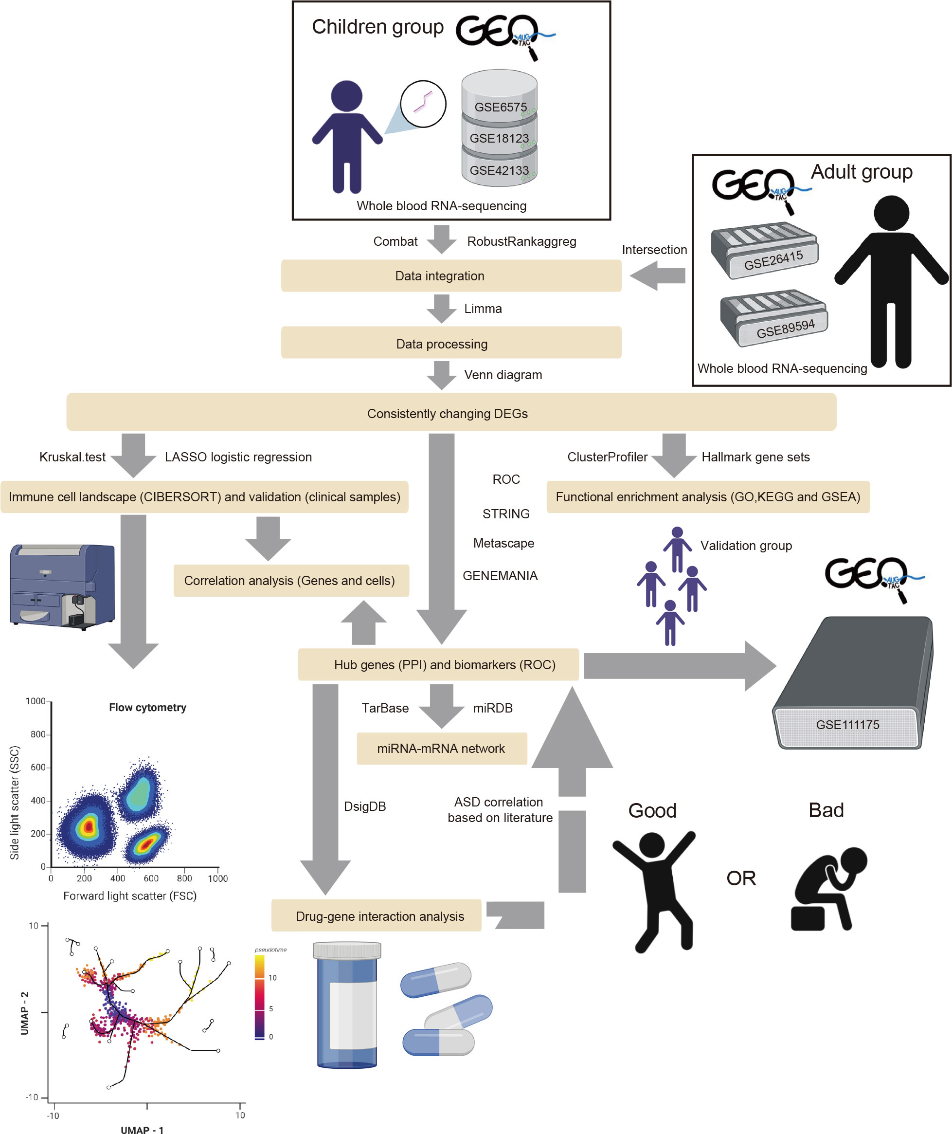 Frontiers | Novel insights into the immune cell landscape and gene 