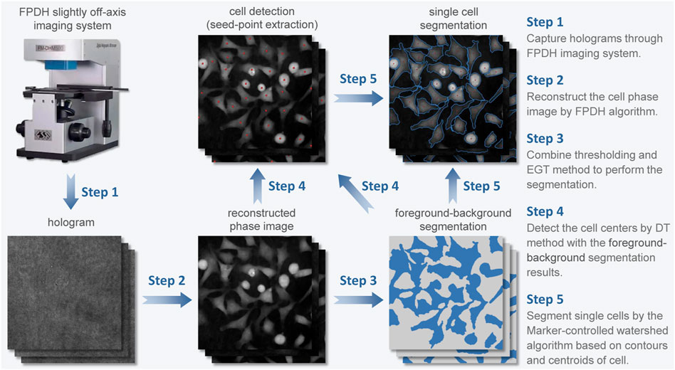 3D chromatographic fingerprint analysis of the CVM B307 by using