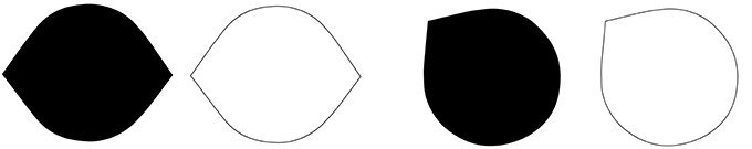 www.frontiersin.org