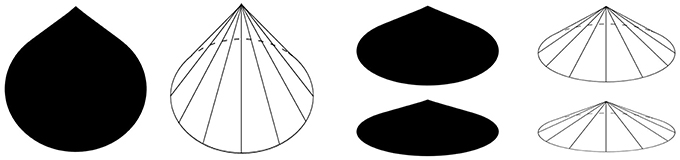 www.frontiersin.org