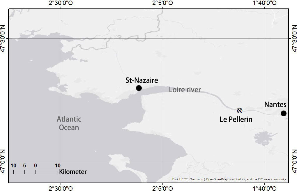 www.frontiersin.org