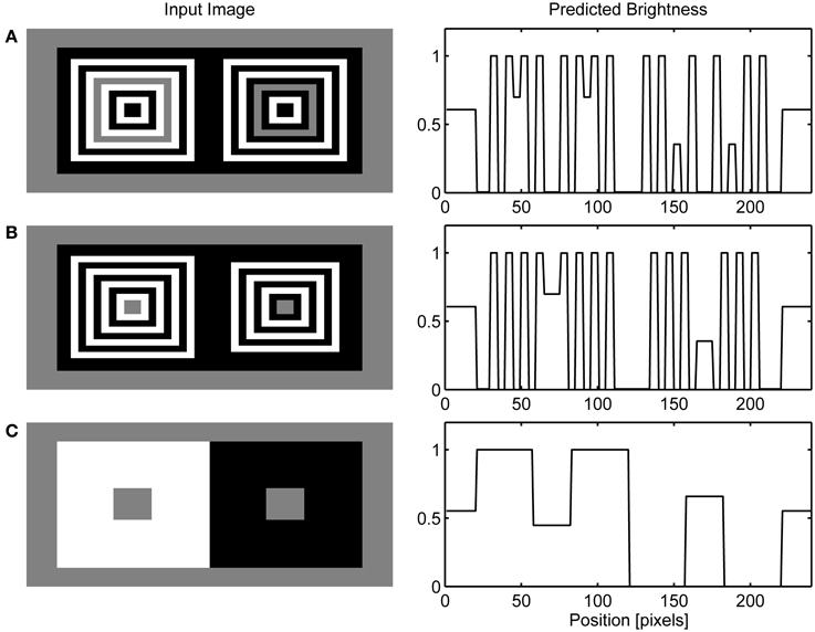 Frontiers | A Neurocomputational account of the role of contour ...