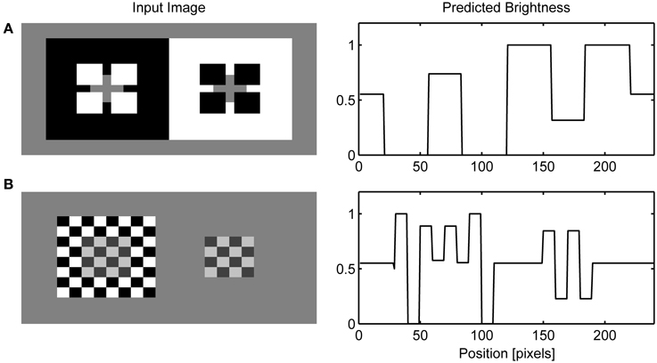 Frontiers | A Neurocomputational account of the role of contour ...