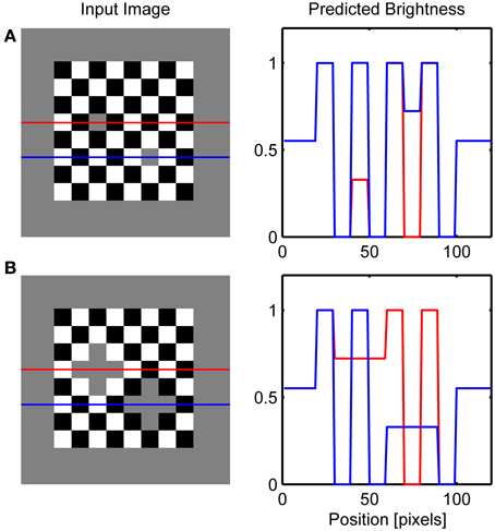 Frontiers | A Neurocomputational account of the role of contour ...