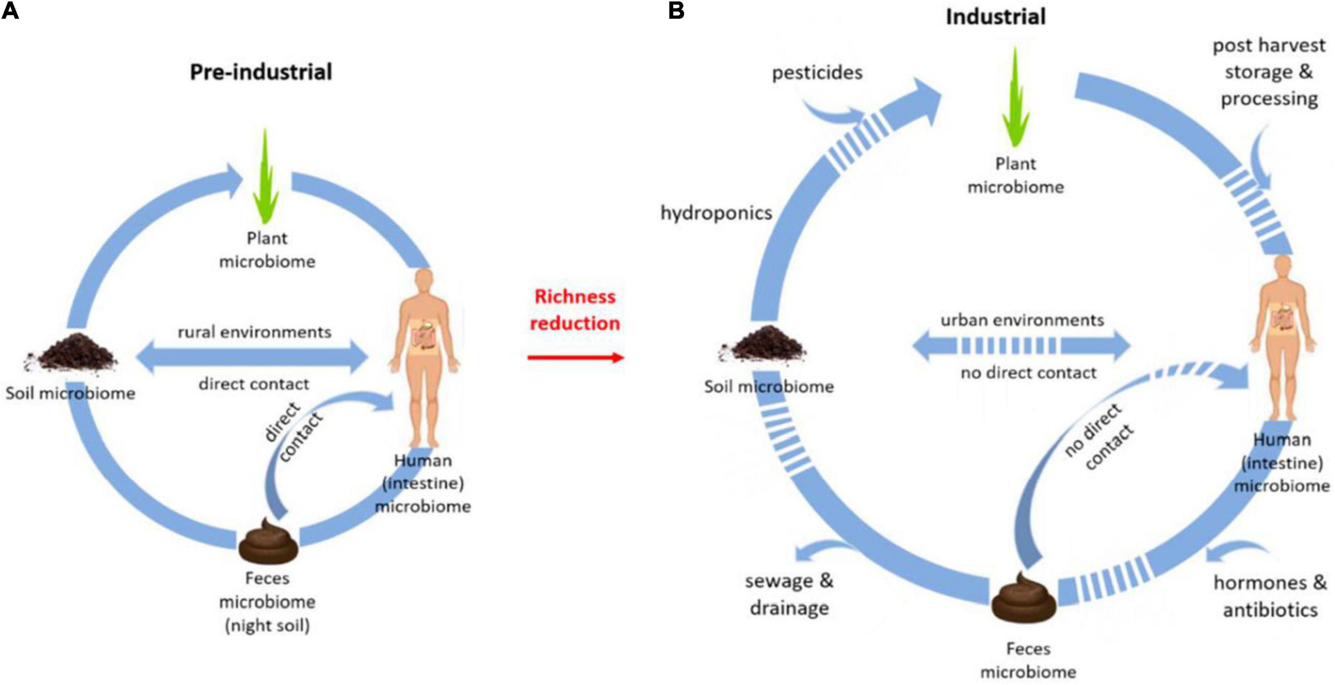 Pica and Amylophagy Are Common among Malagasy Men, Women and