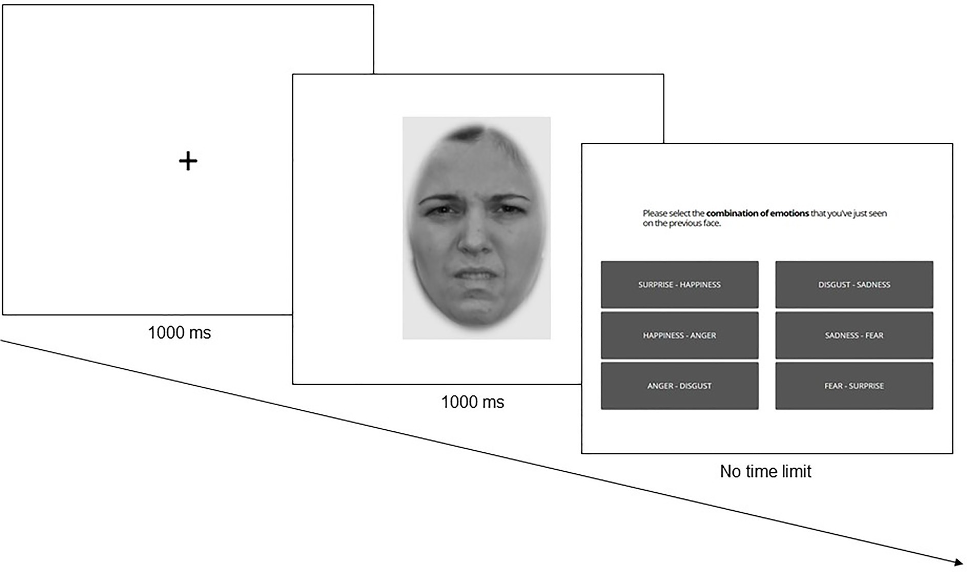 A New Theory of Complex Emotions