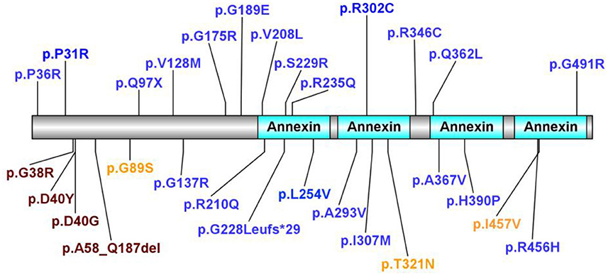 www.frontiersin.org