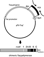 www.frontiersin.org