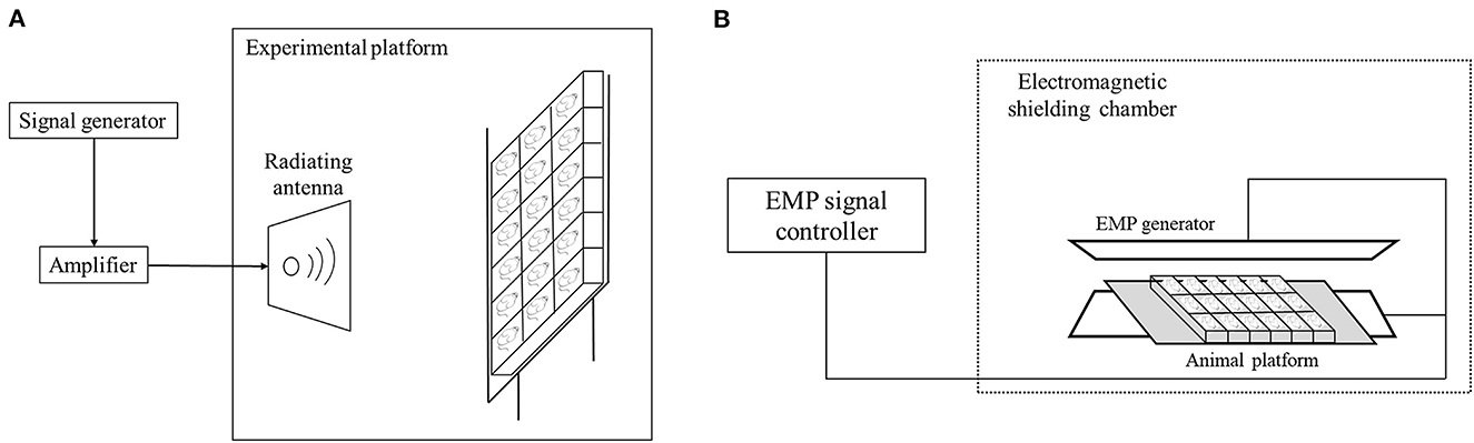 EFFECT OF EMP ON HUMAN NEURAL NETWORK – PM