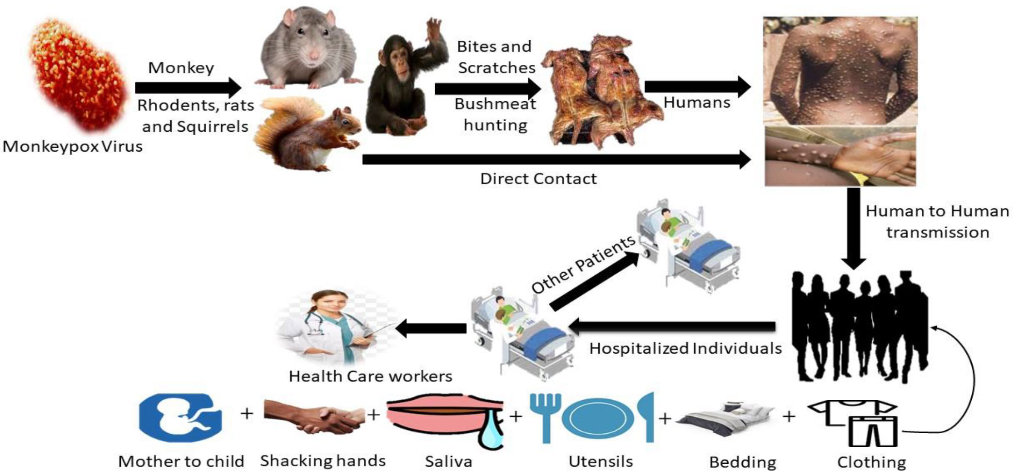 Evidence of human-to-dog transmission of monkeypox virus - The Lancet