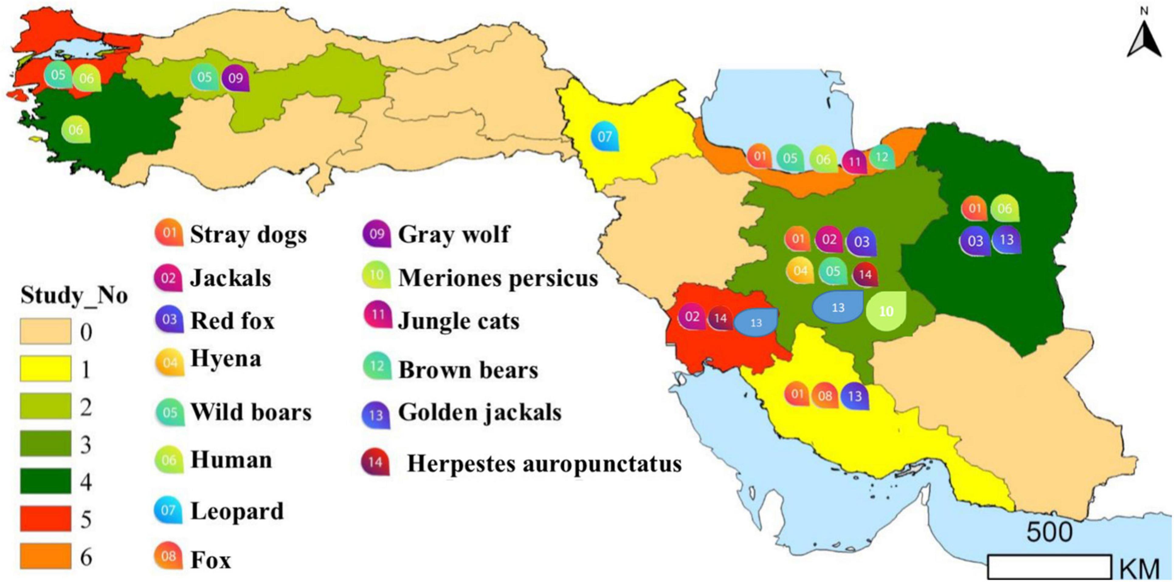 www.frontiersin.org