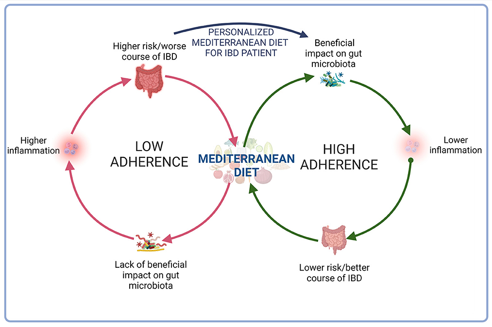 Inflammation and the Mediterranean Diet