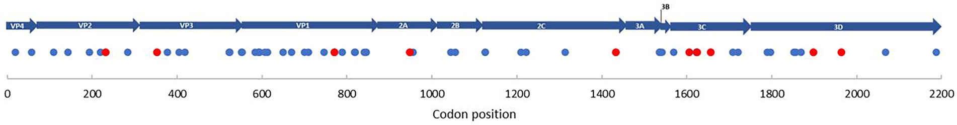 www.frontiersin.org