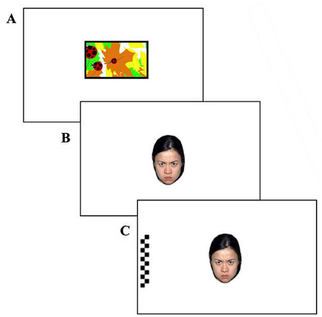 Figure 1 - Researchers can study how long children look at faces using computer tasks [5, 6].
