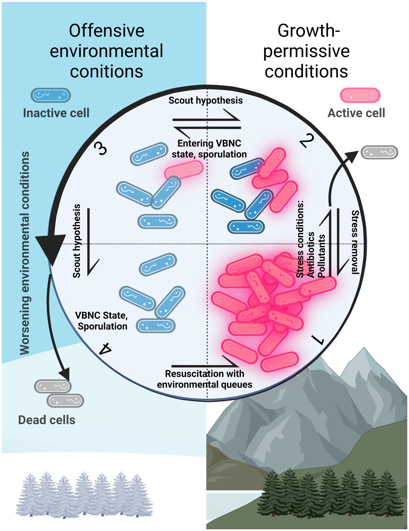 Microorganisms, Free Full-Text