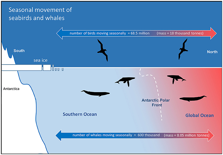 Frontiers  Future Risk for Southern Ocean Ecosystem Services Under Climate  Change