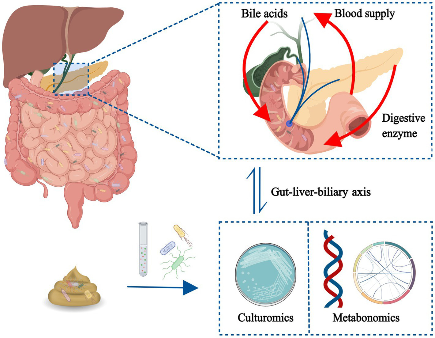 GRAPHICAL ABSTRACT