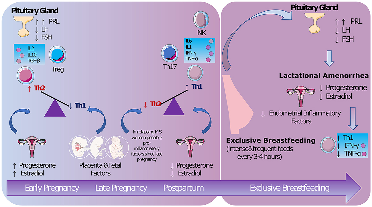 Breastfeeding: Benefits, Considerations, How to, Supplies