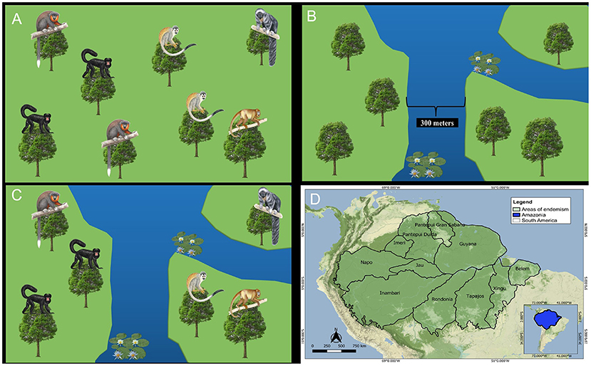 Figure 2 - Large rivers can influence the distribution of animal species.