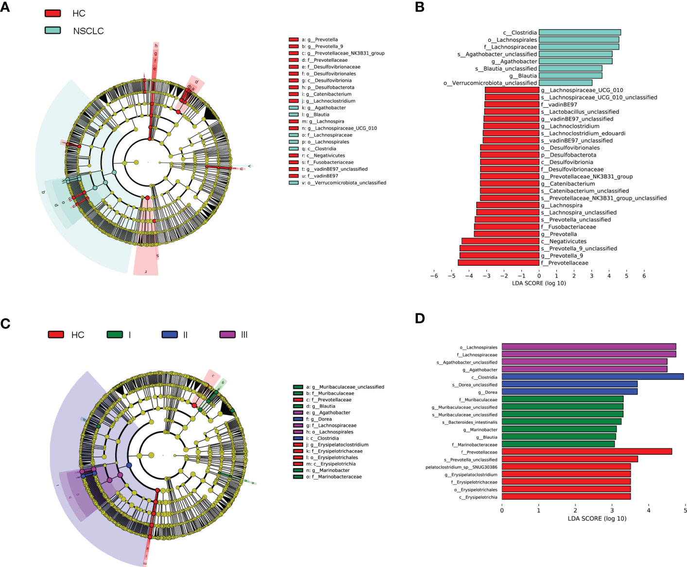 Frontiers | Combined analysis of gut microbiome and serum metabolomics ...
