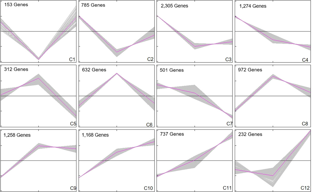 Frontiers | Transcriptomic analysis unravels the molecular