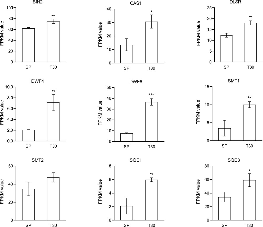 Frontiers | Transcriptomic analysis unravels the molecular 