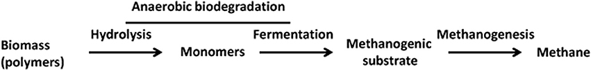 www.frontiersin.org