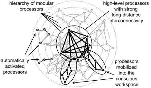 Which of the following posits that unconscious forces act as determinants of personality?